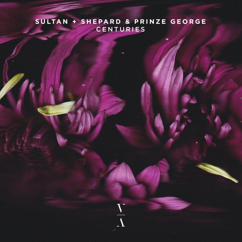 Releases - Sultan + Shepard